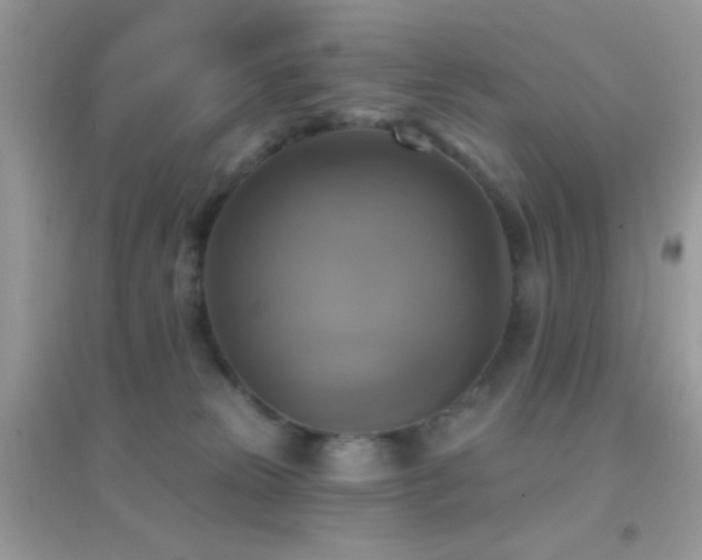 X0000095110181200712071226