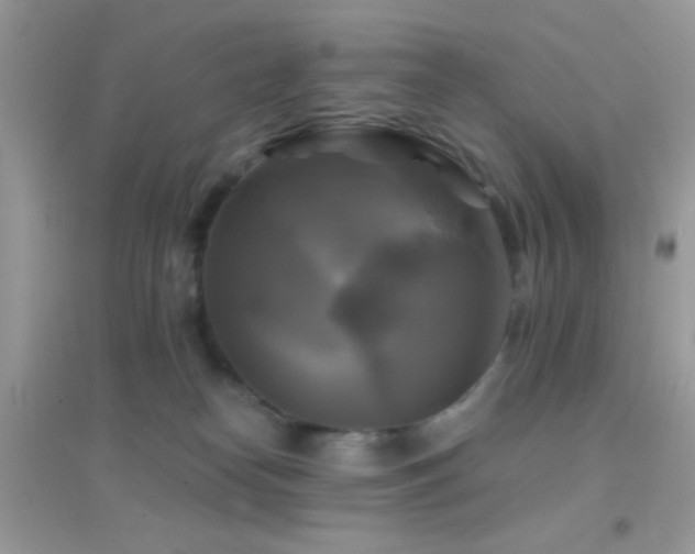 X0000095110182200712071226