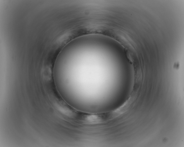 X0000095110183200712071226