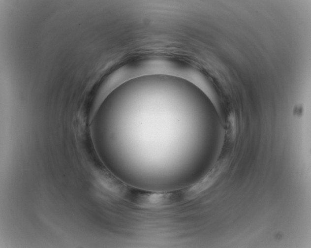 X0000095110184200712071226