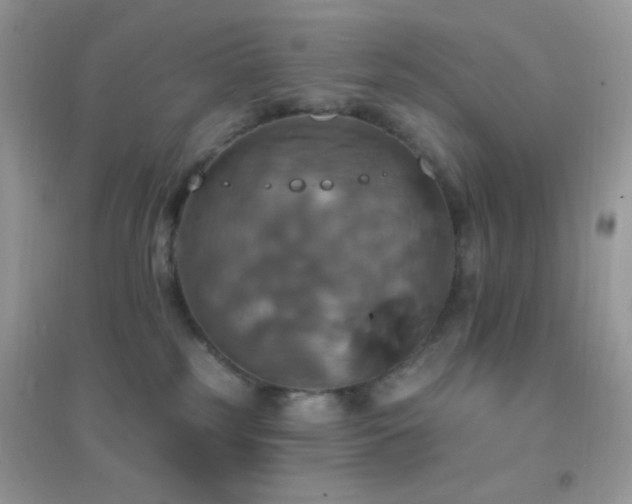 X0000095110185200712071226