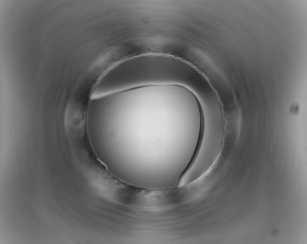 X0000095110186200712071226