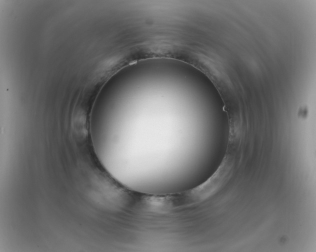 X0000095110187200712071226