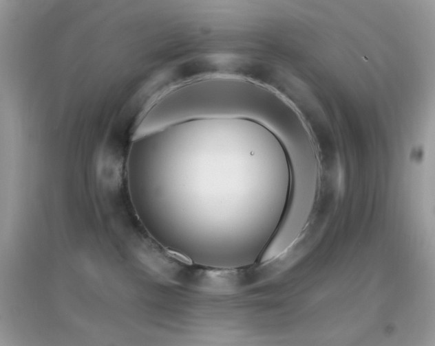 X0000095110188200712071226