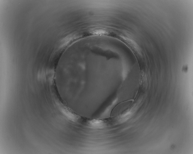 X0000095110189200712071226