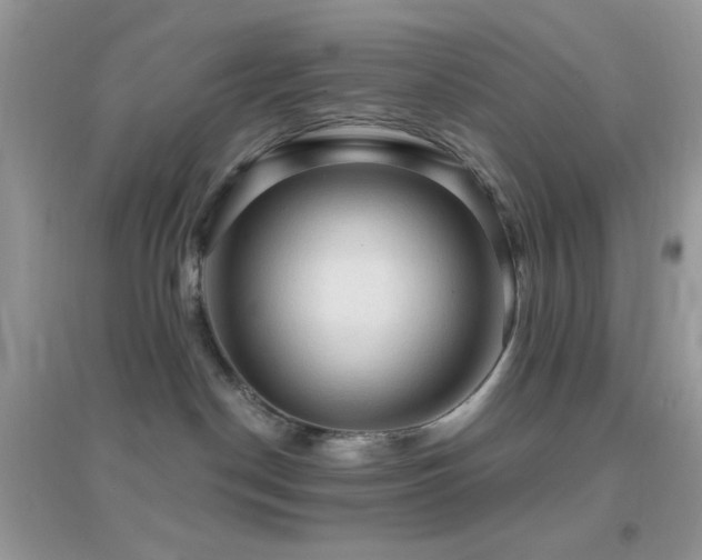 X0000095110190200712071226