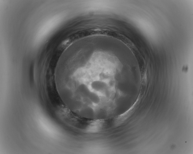 X0000095110191200712071226