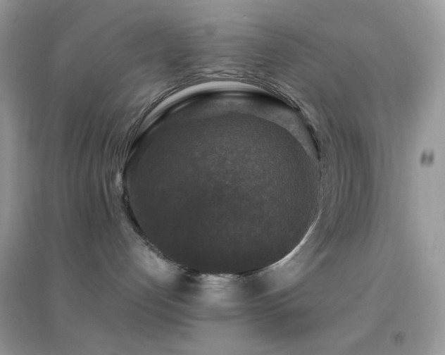 X0000095110192200712071226