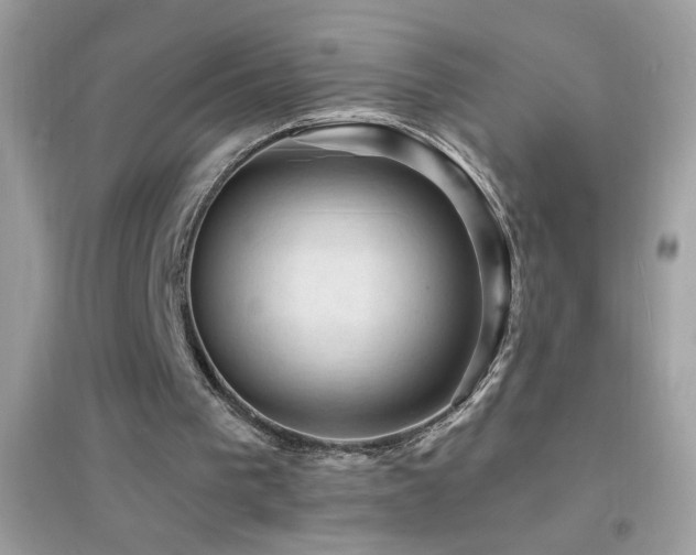 X0000095110193200712071225