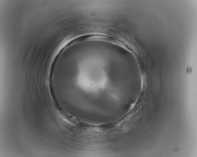 X0000095110195200712071225