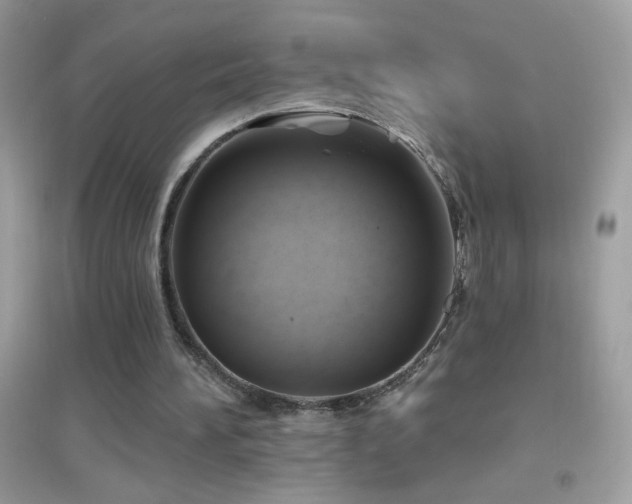 X0000095110196200712071225