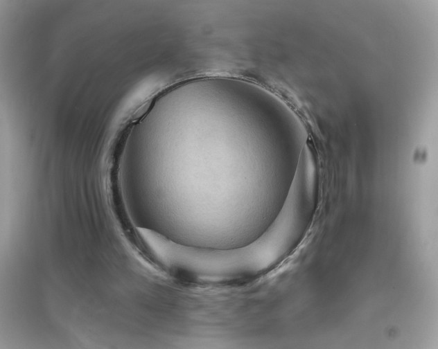 X0000095110197200712071225