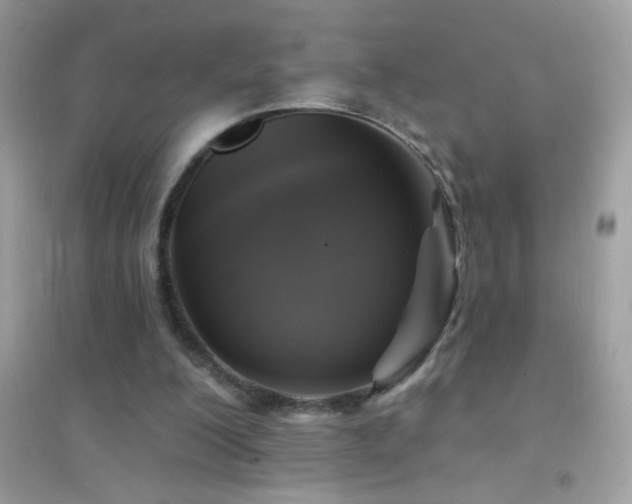 X0000095110200200712071225