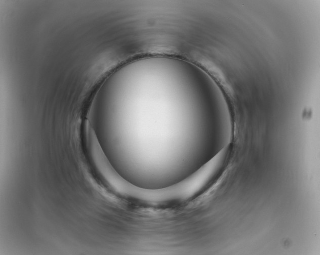 X0000095110201200712071225