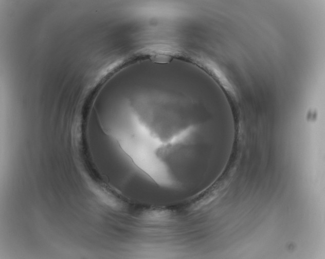 X0000095110202200712071225