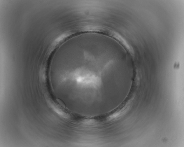 X0000095110203200712071225