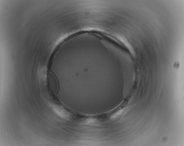 X0000095110204200712071225