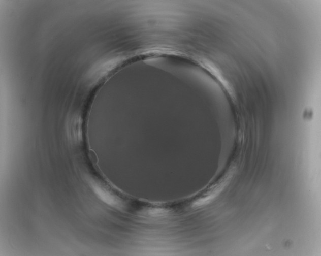 X0000095110205200712071225