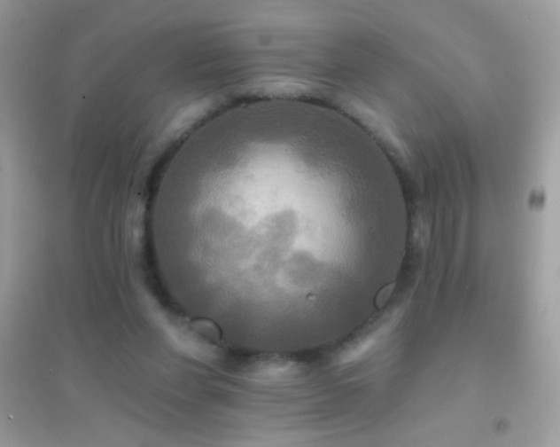 X0000095110206200712071225