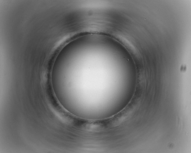 X0000095110208200712071225