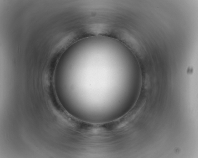 X0000095110210200712071225