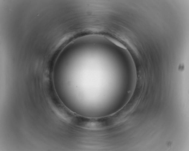 X0000095110212200712071225