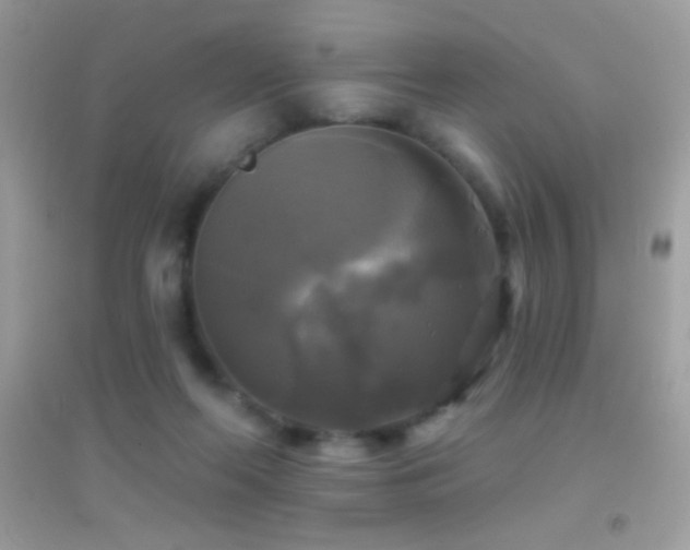 X0000095110214200712071225