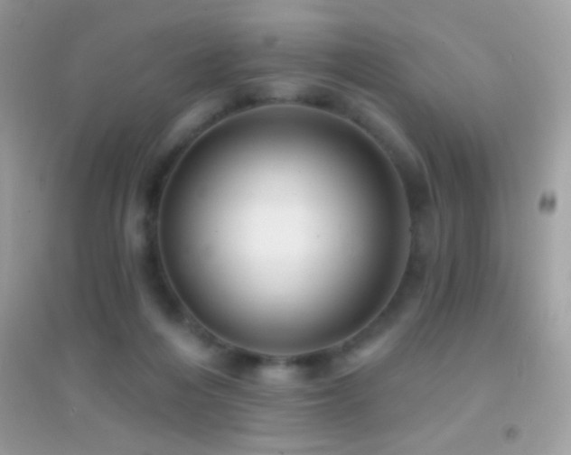 X0000095110216200712071225