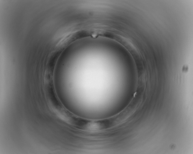 X0000095110218200712071225