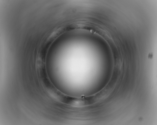 X0000095110220200712071225