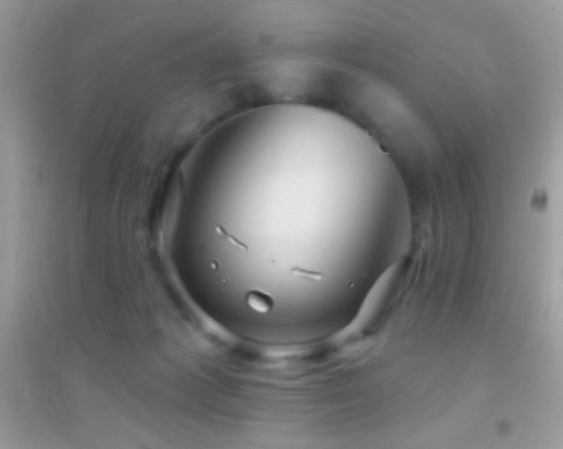 X0000095110221200712071225