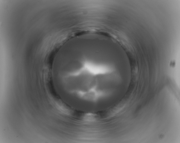 X0000095110222200712071225