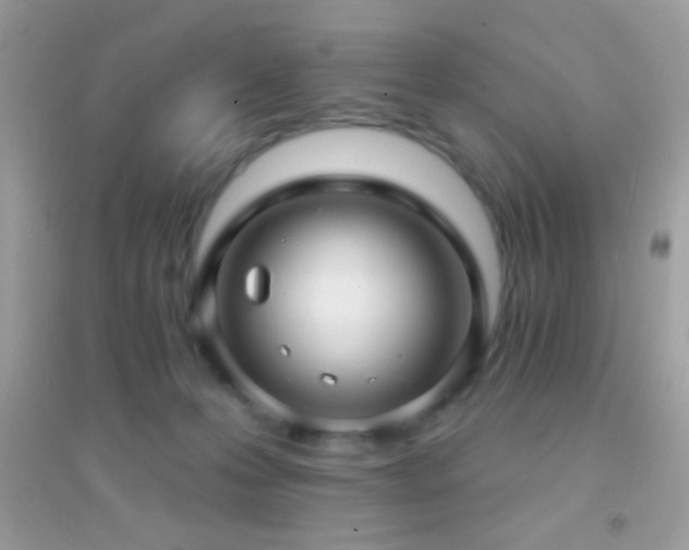 X0000095110223200712071225