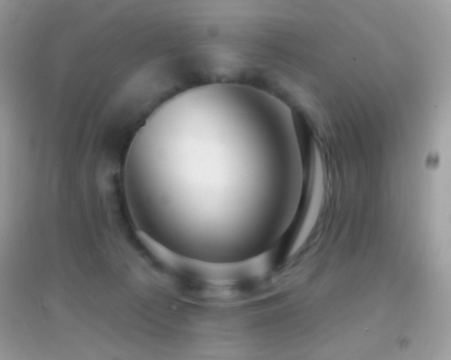 X0000095110225200712071225