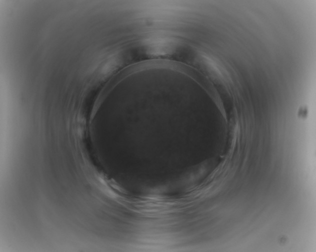 X0000095110227200712071225