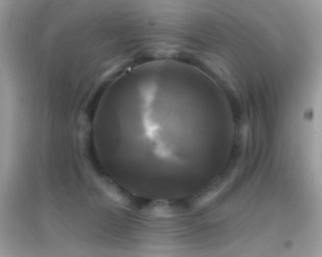 X0000095110228200712071225