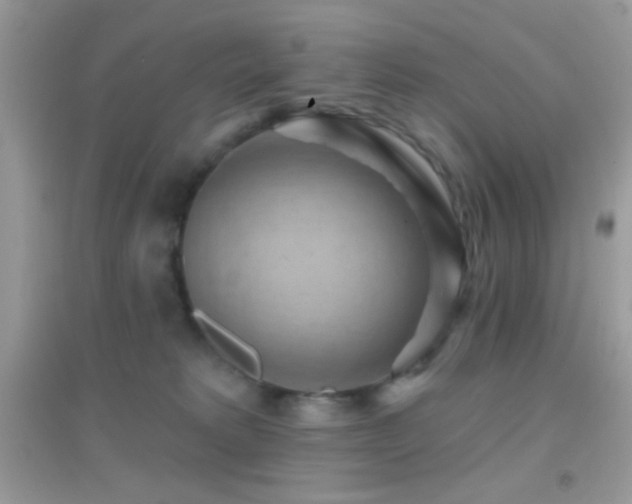 X0000095110229200712071224