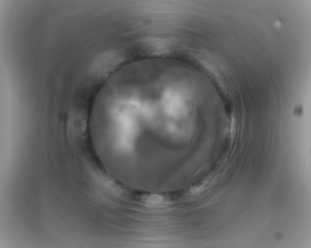 X0000095110230200712071224