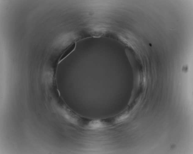 X0000095110231200712071224