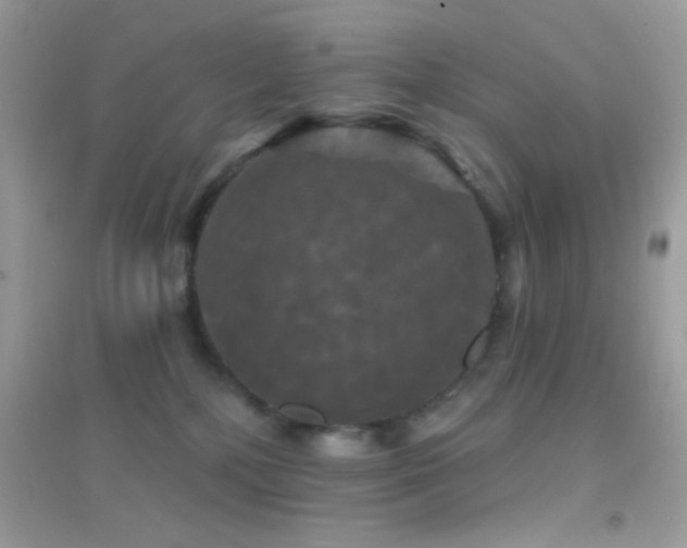 X0000095110232200712071224