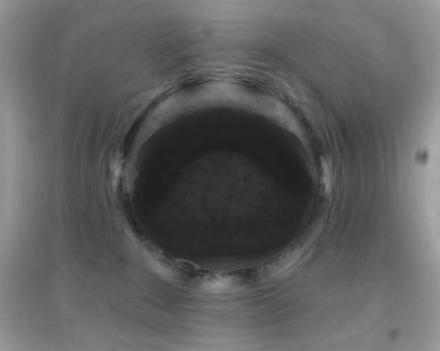 X0000095110235200712071224