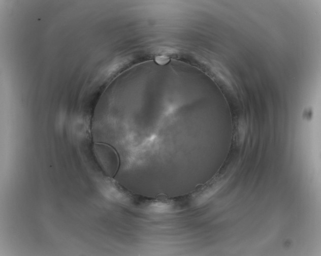 X0000095110236200712071224