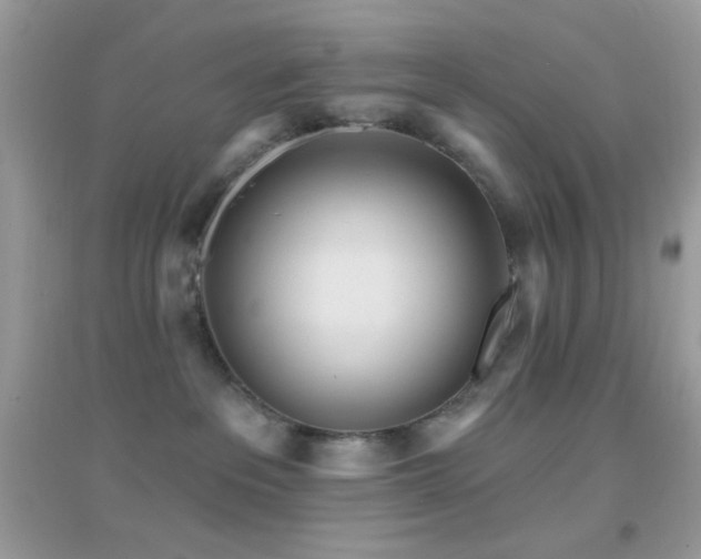 X0000095110237200712071224