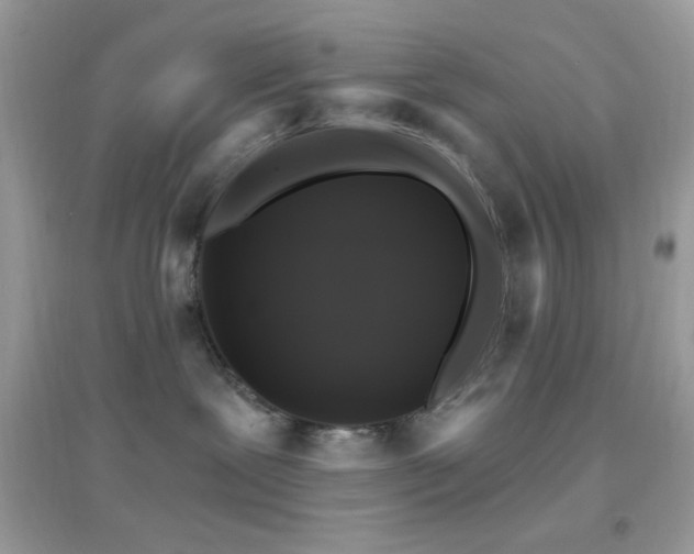 X0000095110239200712071224