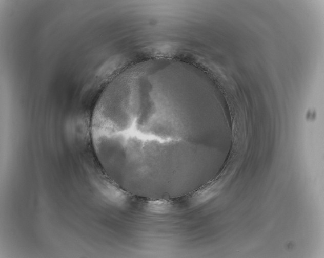 X0000095110240200712071224