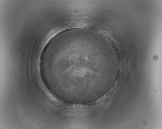 X0000095110242200712071224