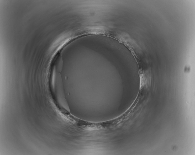 X0000095110243200712071224