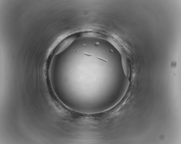 X0000095110244200712071224