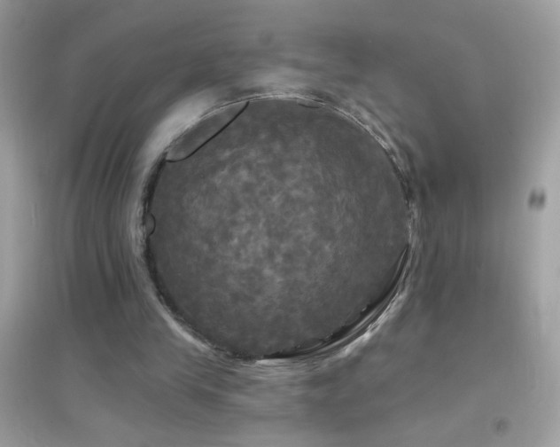 X0000095110245200712071224