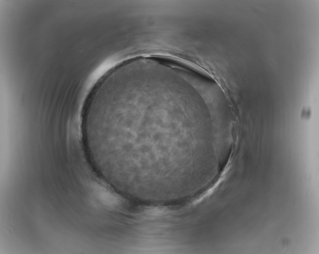 X0000095110246200712071224